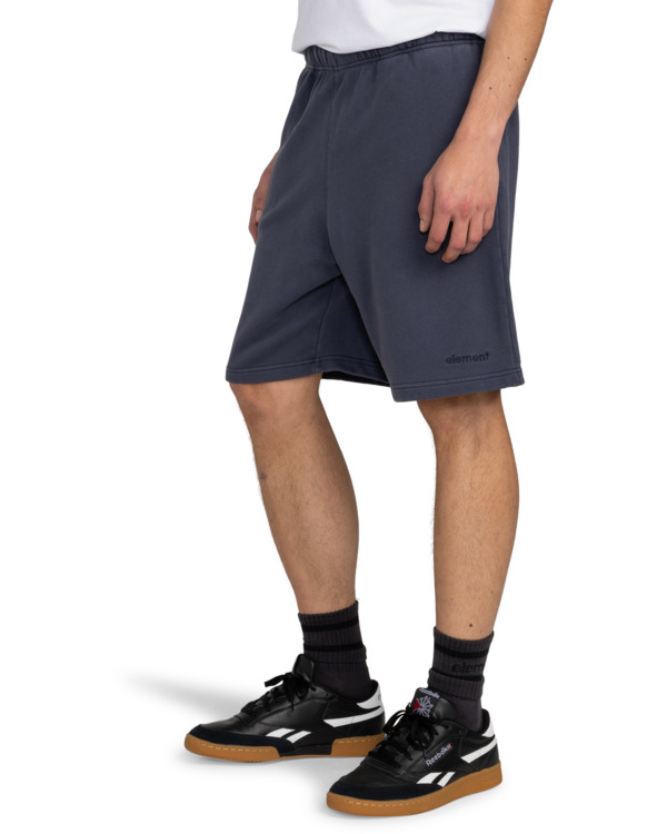 Element Cornell 3.0 - Elastic Waist Shorts For Men