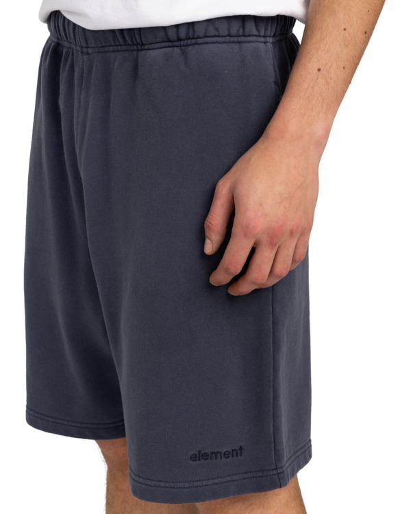 Element Cornell 3.0 - Elastic Waist Shorts For Men