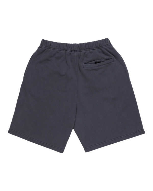 element Cornell 3.0 - Elastic Waist Shorts for Men