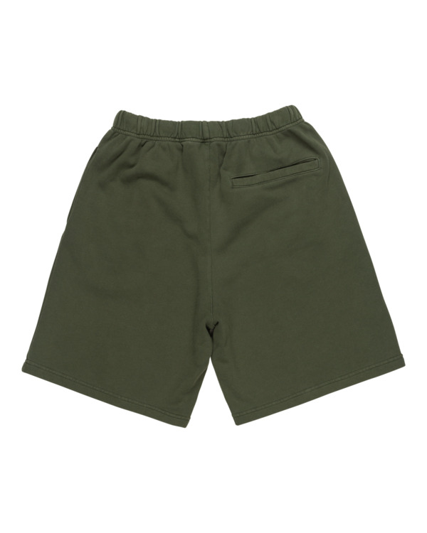 element Cornell 3.0 - Elastic Waist Shorts for Men