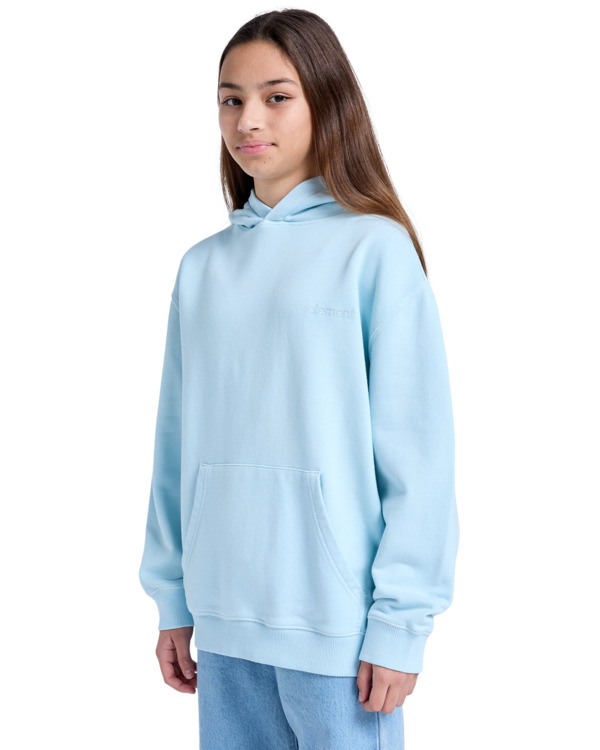 Element Cornell 3.0 - Pullover Hoodie For Boys 8 - 16