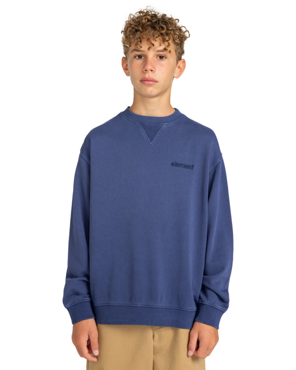 Element Cornell 3.1 - Sweatshirt For Boys 8-16