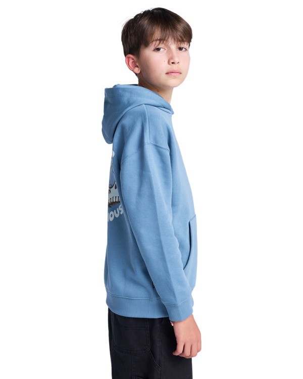 Element Curious Po Y - Hoodie For Boys 8-16