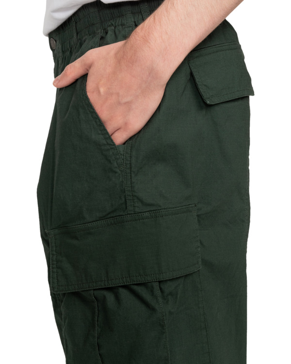 Element Howland - Cargo Pant For Men