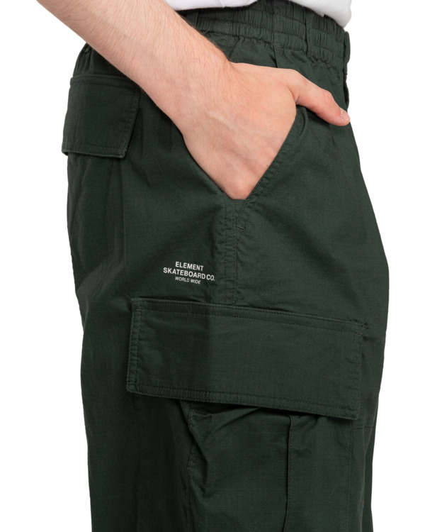 Element Howland - Cargo Pant For Men