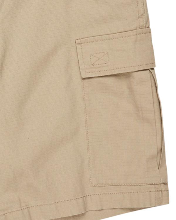 Element Legion 21" - Cargo Walkshorts For Men