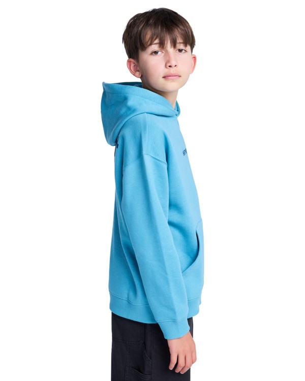 Element Lowcase Bp Po Y - Hoodie For Boys 8-16