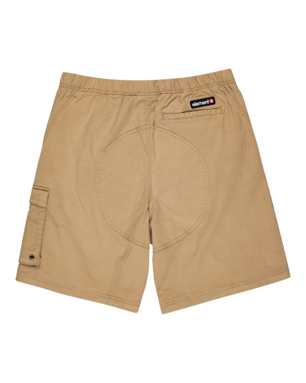 element Pull Up Travel - Hiking Shorts for Men
