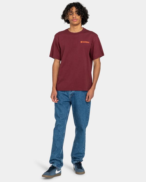 Element Regular - Regular Fit Jeans For Men