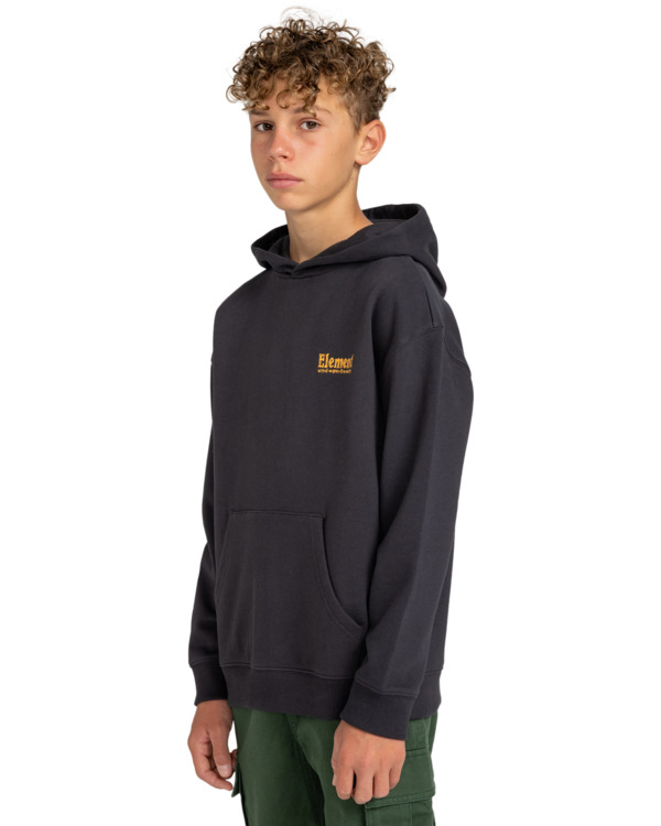 Element Volley - Pullover Hoodie For Boys 8-16