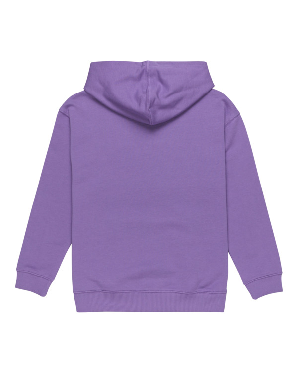 element Walkin - Pullover Hoodie for Boys 8 - 16