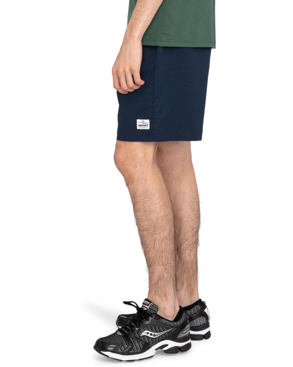 Element Howland Venture 19" - Technical Walk Shorts For Men