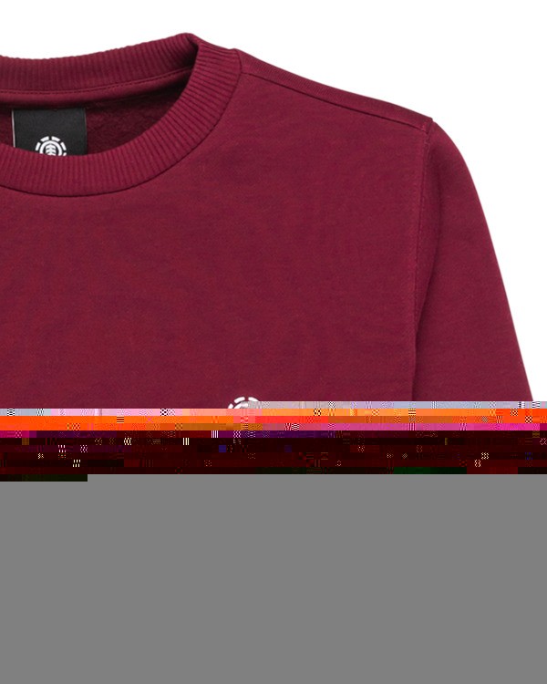 Element Icon Embroidery Cr Y - Sweatshirt For Boys 8-16