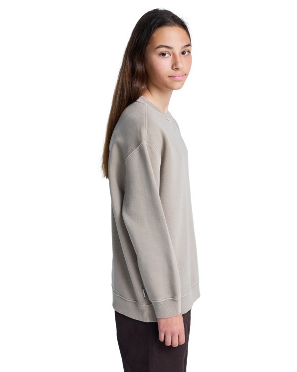 Element Lowcase Pigment Cr Y - Sweatshirt For Boys 8-16