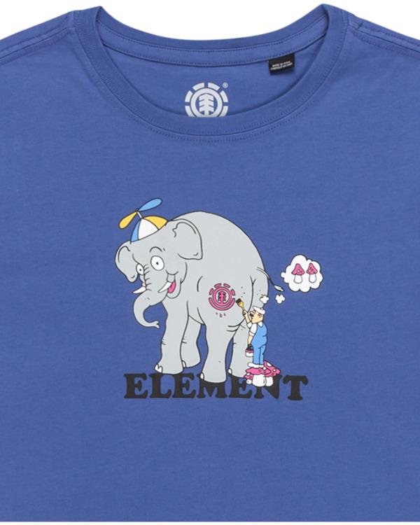 Element Paintjob - Short Sleeves T-Shirt For Boys 8 - 16