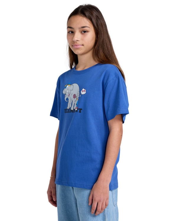 Element Paintjob - Short Sleeves T-Shirt For Boys 8 - 16