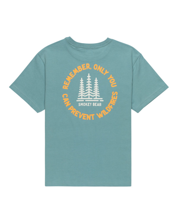 element SBXE Remember - Short Sleeves T-Shirt for Boys 8 - 16