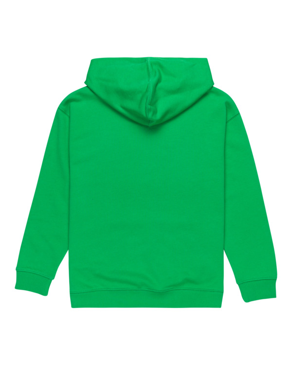 element Skateboard Co - Pullover Hoodie for Boys 8 - 16
