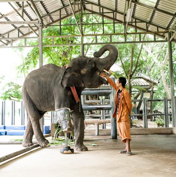 Elephant Parade 3D Magnets3D Magnet 7cm - Peace Love & Music