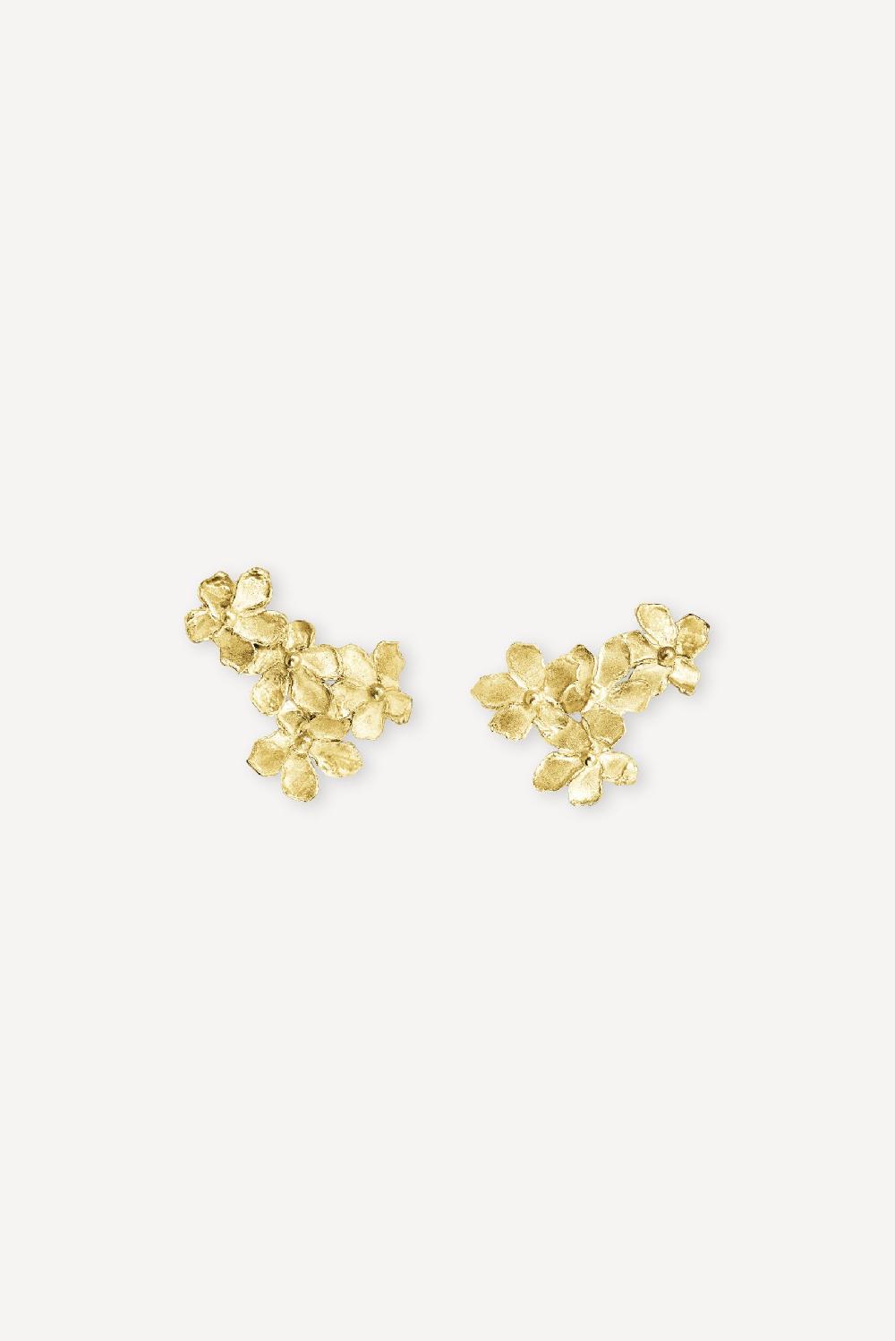 elhanati Golden Forest Earrings – ELHANATI