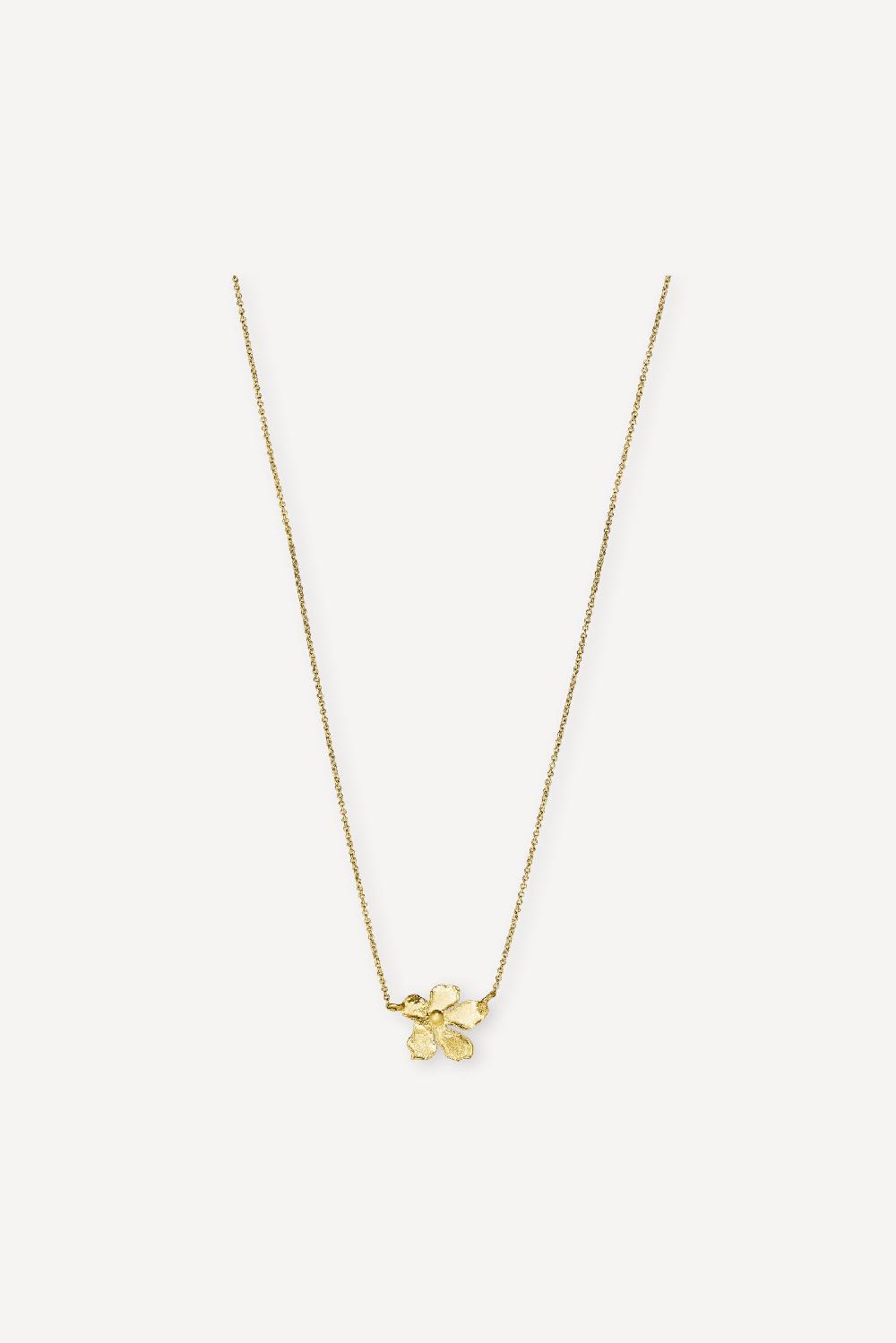 elhanati Simple Golden Flower Necklace – ELHANATI