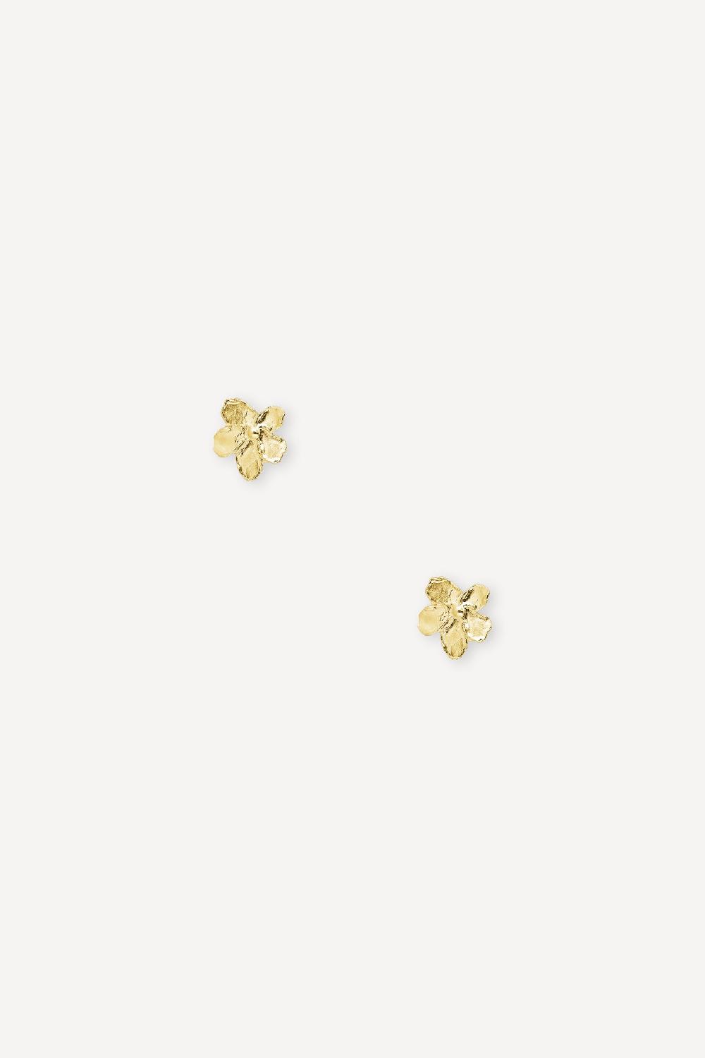 elhanati Small Golden Flower Earrings – ELHANATI
