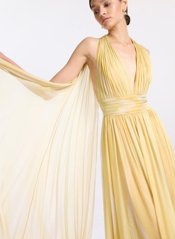 Elie Saab Printed Silk Long Dress Sand Gold