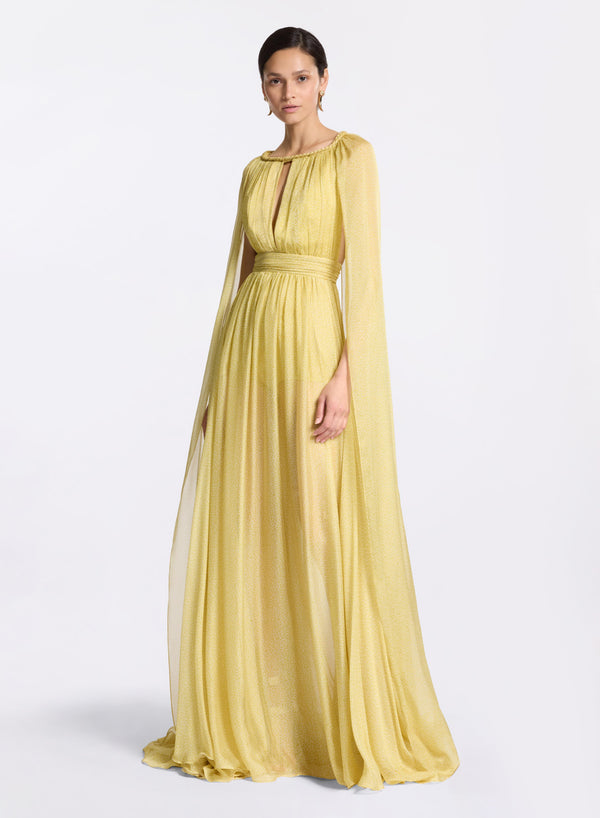 elie saab Printed silk long dress Sand Gold