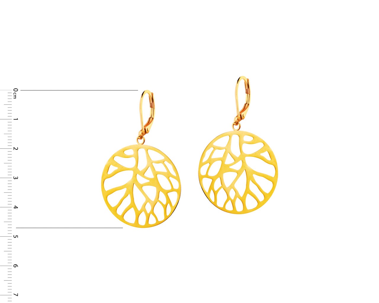 Elixa KOLCZYKI ZE STALI SZLACHETNEJ EL527-6292