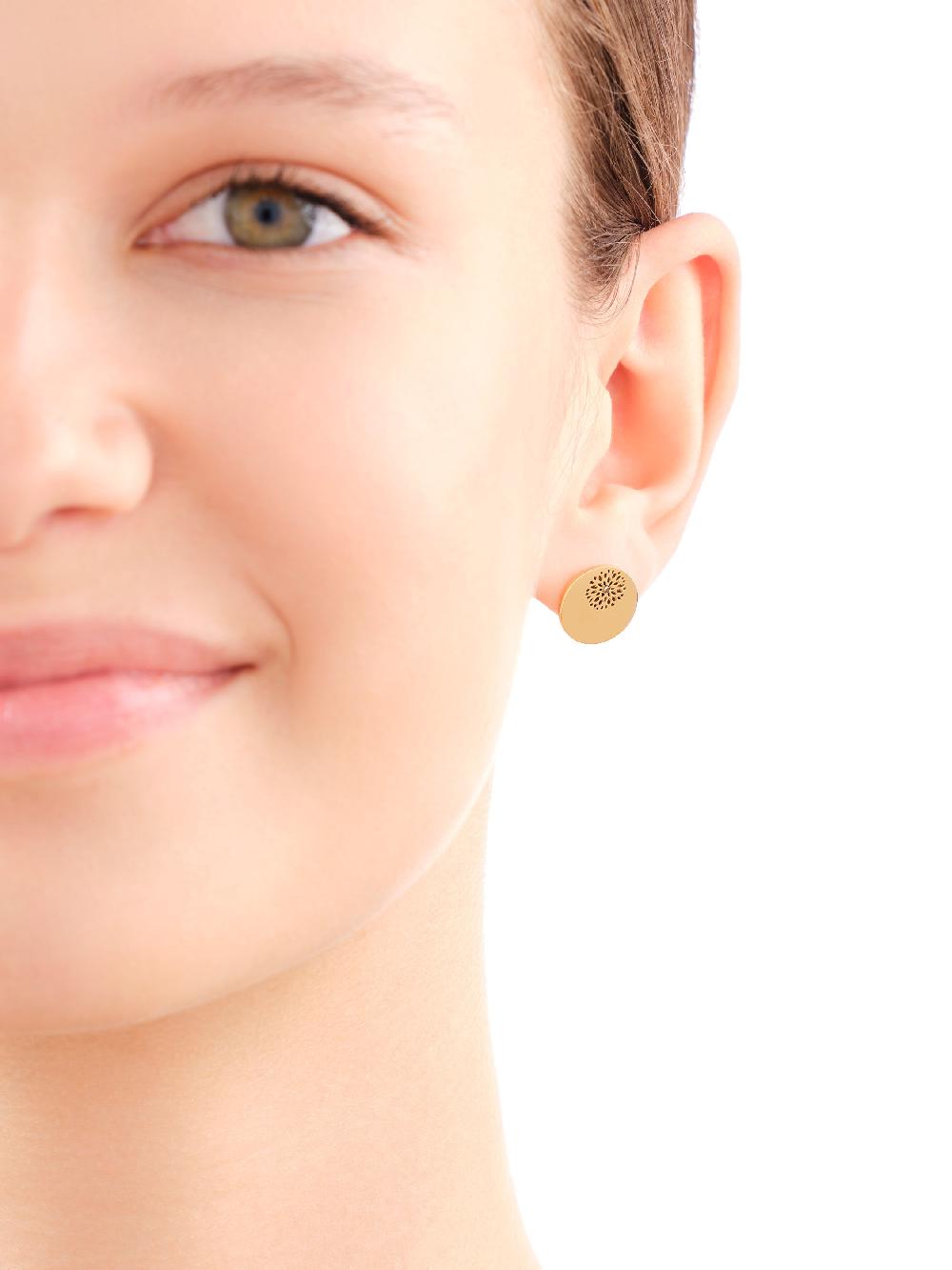 Elixa KOLCZYKI ZE STALI SZLACHETNEJ Z KRYSZTAŁEM EL536-7112