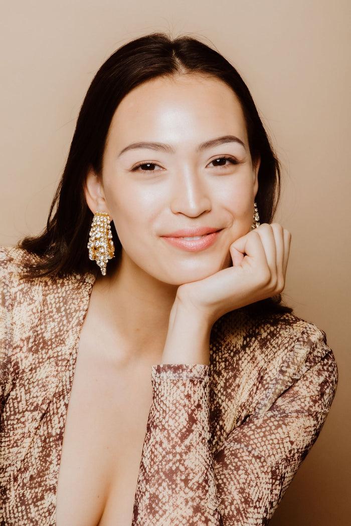 Elizabeth Cole Bette Earrings Crystal