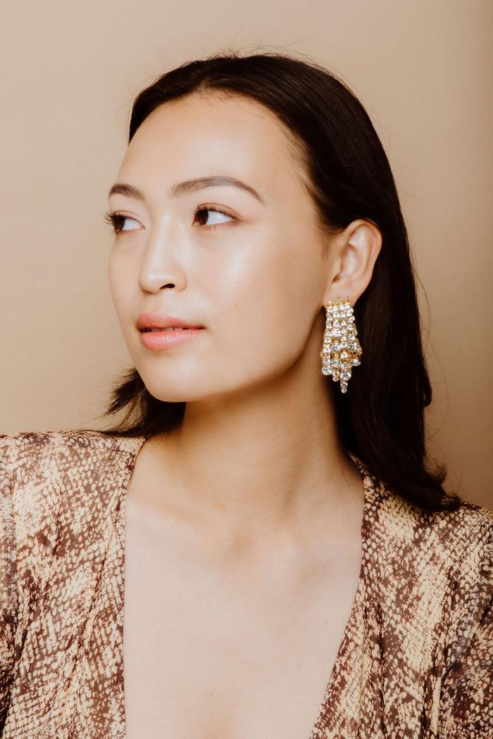 Elizabeth Cole Bette Earrings Crystal