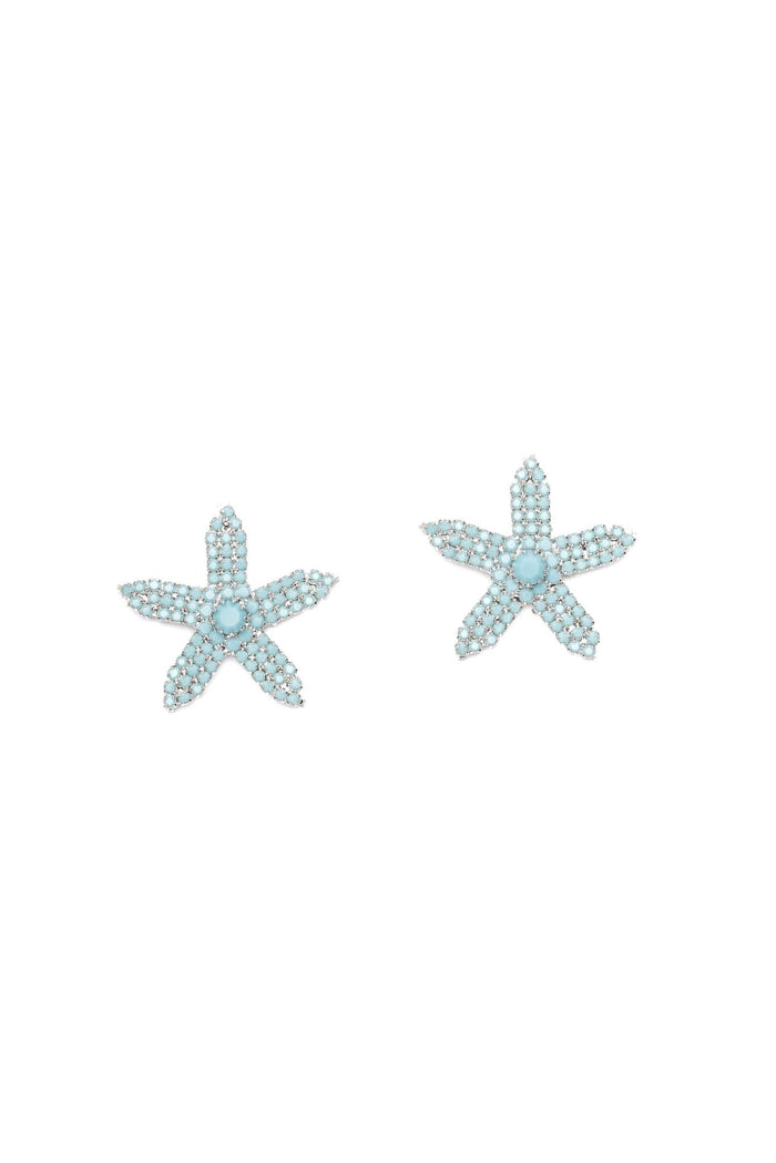Elizabeth Cole Caitlin Earrings Crystal