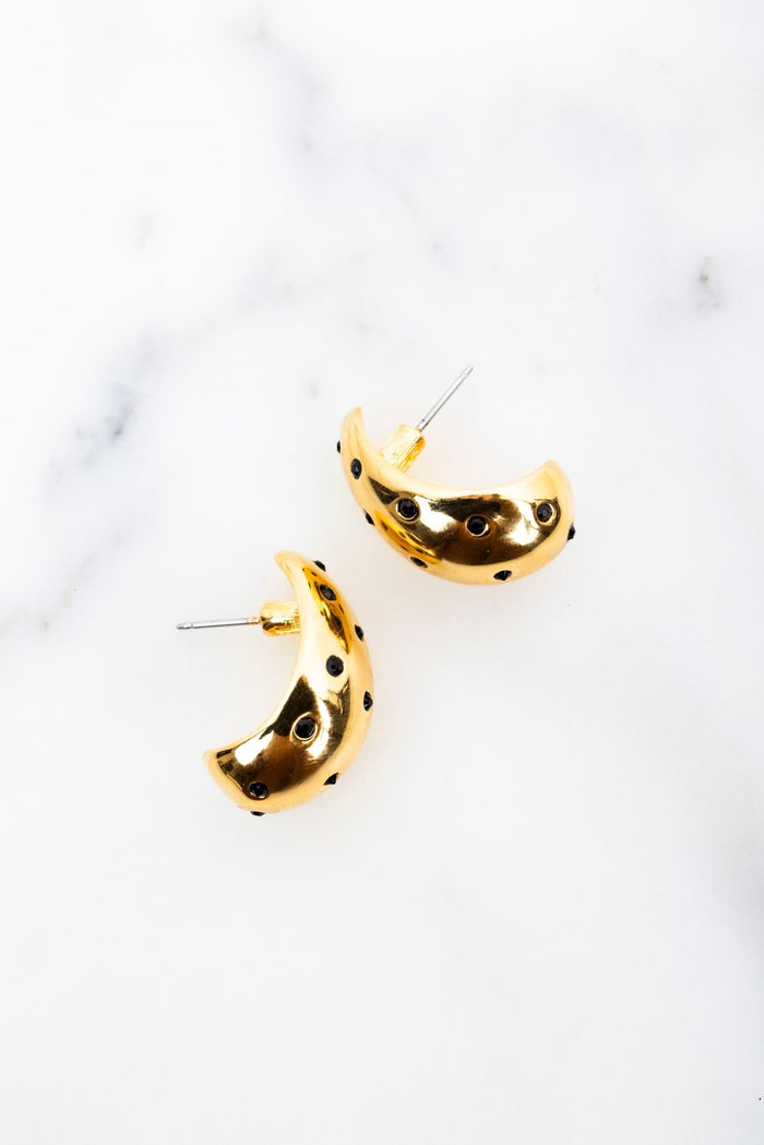 elizabeth cole Delphi Earrings Crystal Gold