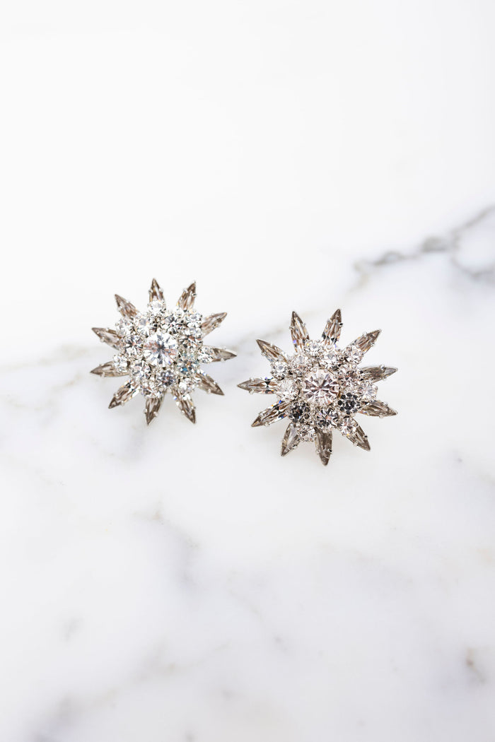 elizabeth cole Diana Earrings Crystal