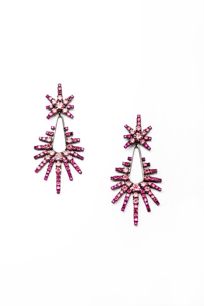 Elizabeth Cole Remington Earrings Pink