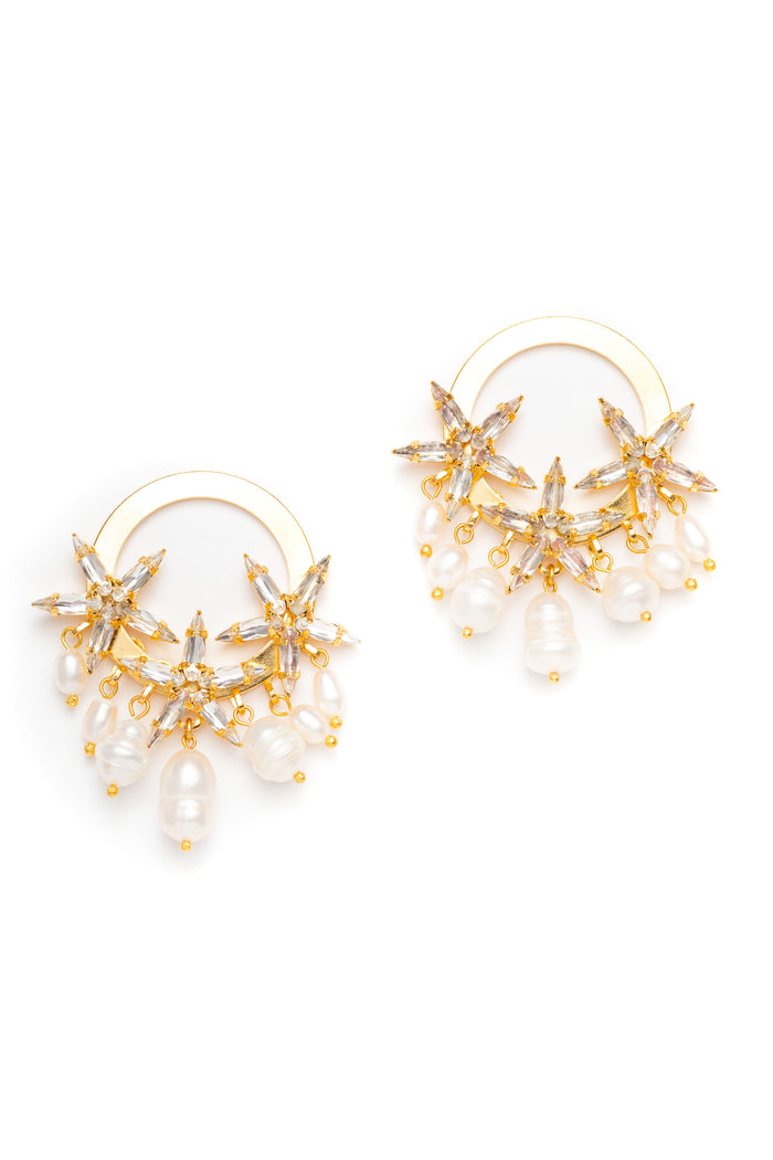 Elizabeth Cole Vaela Earrings Crystal