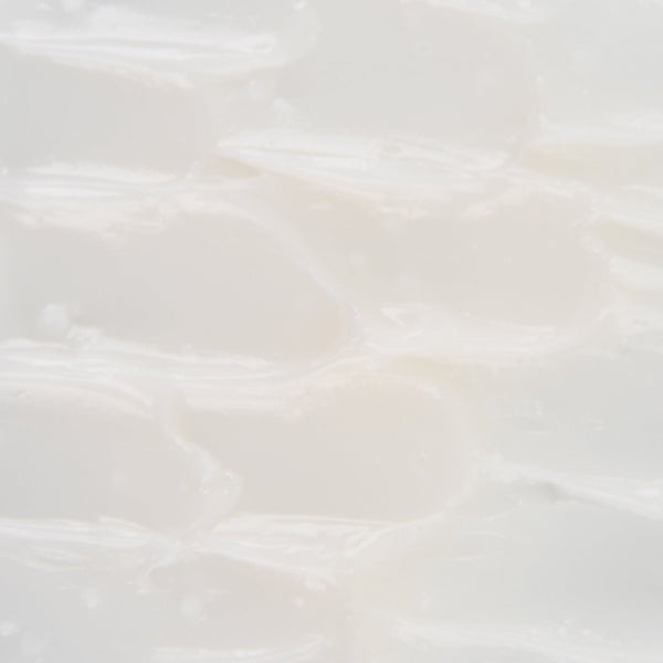 Elizabeth Grant Torricelumn Absolute Nourishing Lip Mask 20 Ml