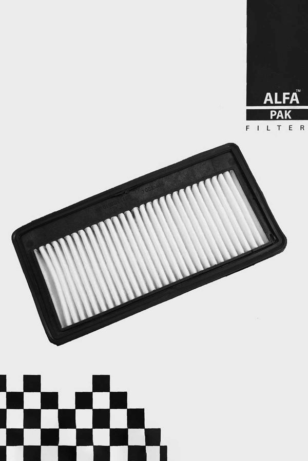 Elo Alfa Pak Air Filter Hyundai Santro