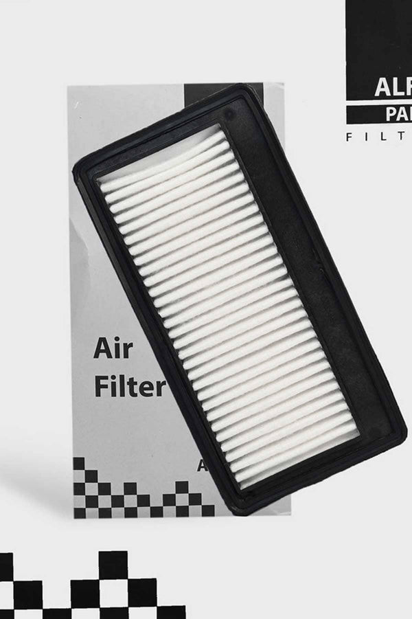 elo Alfa Pak Air Filter Hyundai Santro