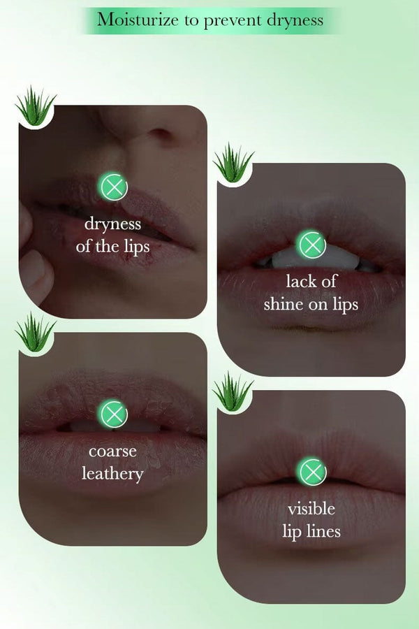 Elo Fayankou Aloe Vera Moisturizing Lip Mask - 8g