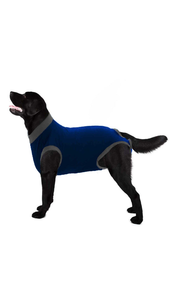 Elo Pet Dog Shirt Blue