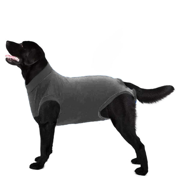 Elo Pet Dog Shirt Blue