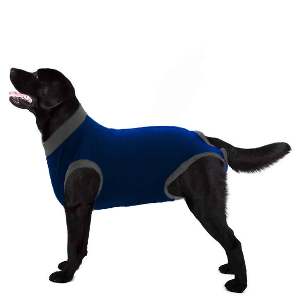 elo Pet Dog Shirt Blue