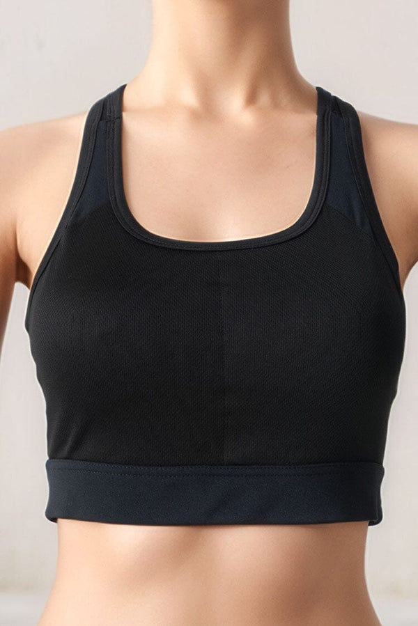 Elo Polo Athletica Women's Padded Sports Bra Black