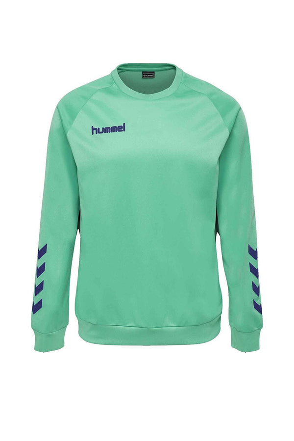 elo Hummel Boy's Activewear Raglan Sleeve Tee Shirt Turquoise
