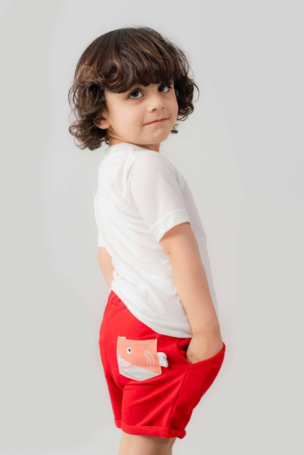 Elo Polo Republica Boy's PakWheels Protocol Printed Tee Shirt Sky