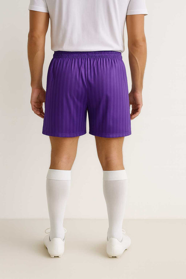 Elo Prostar Men's Jacquard Striped Activewear Shorts Purple