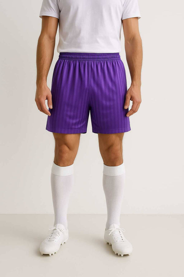 elo Prostar Men's Jacquard Striped Activewear Shorts Purple