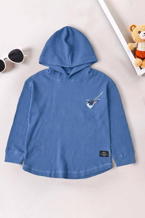 Elo TH Boy's Guitar Printed Pullover Hoodie Powder Blue